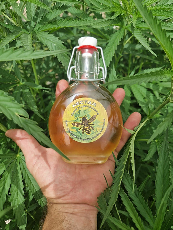 Ravnoteža i zdravlje